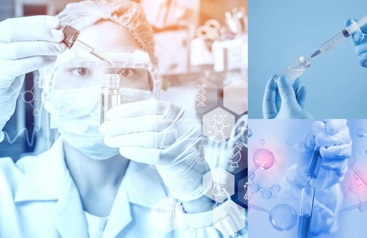 細胞の「若さ」を保つ、低継代培養へのこだわり